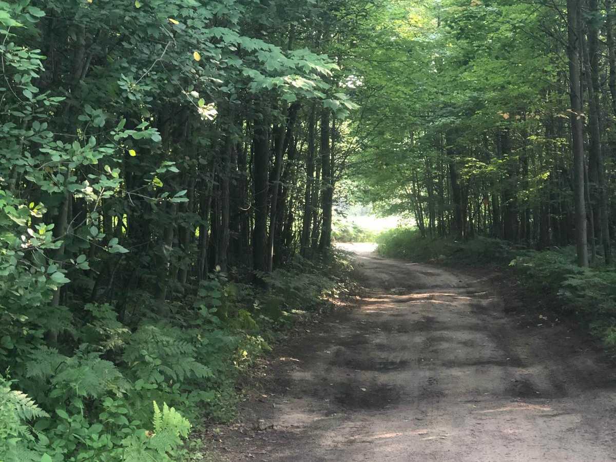 Long Road Spur photo 2