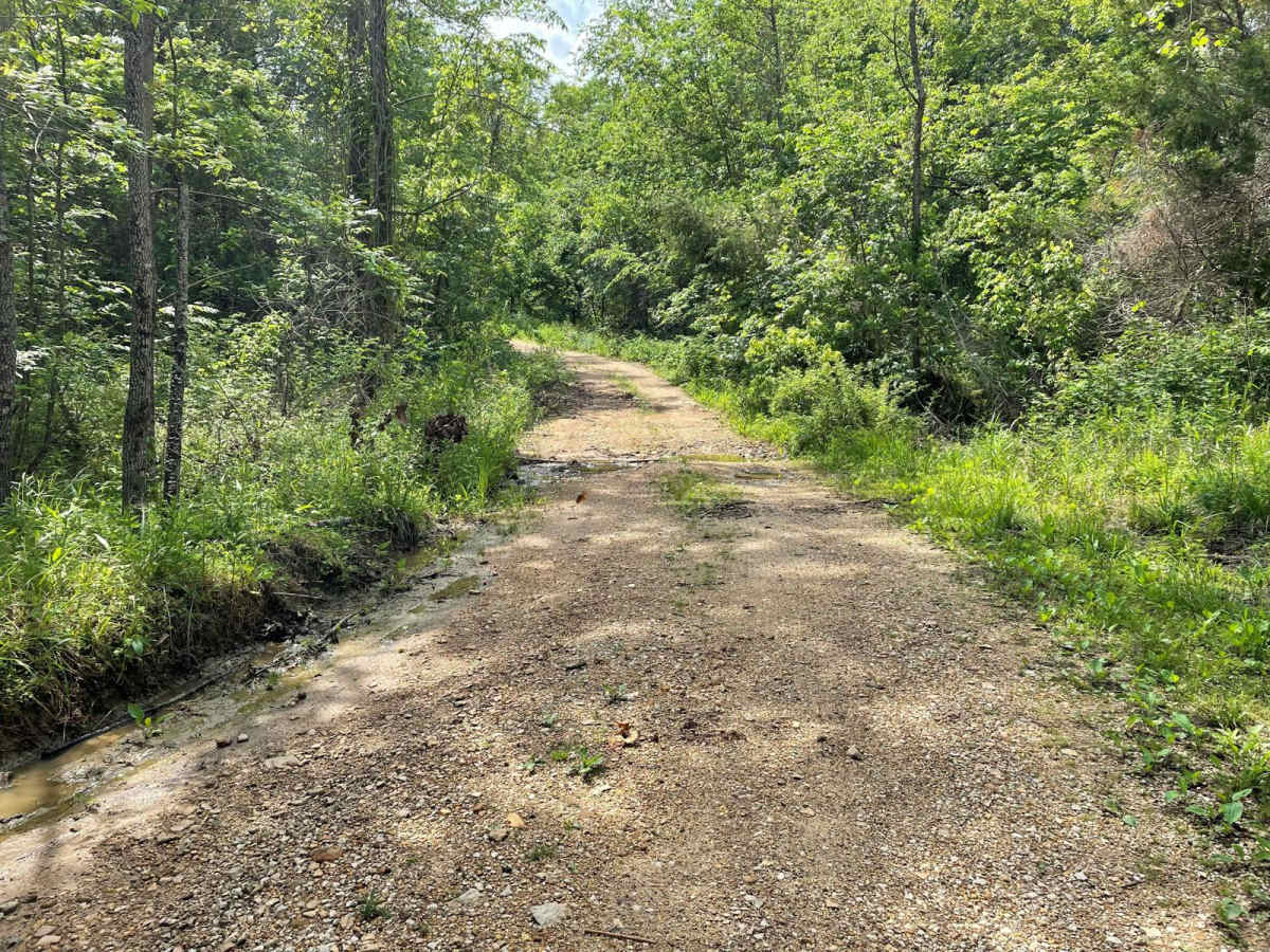 Lone Star School Road (FS 3824) photo 2