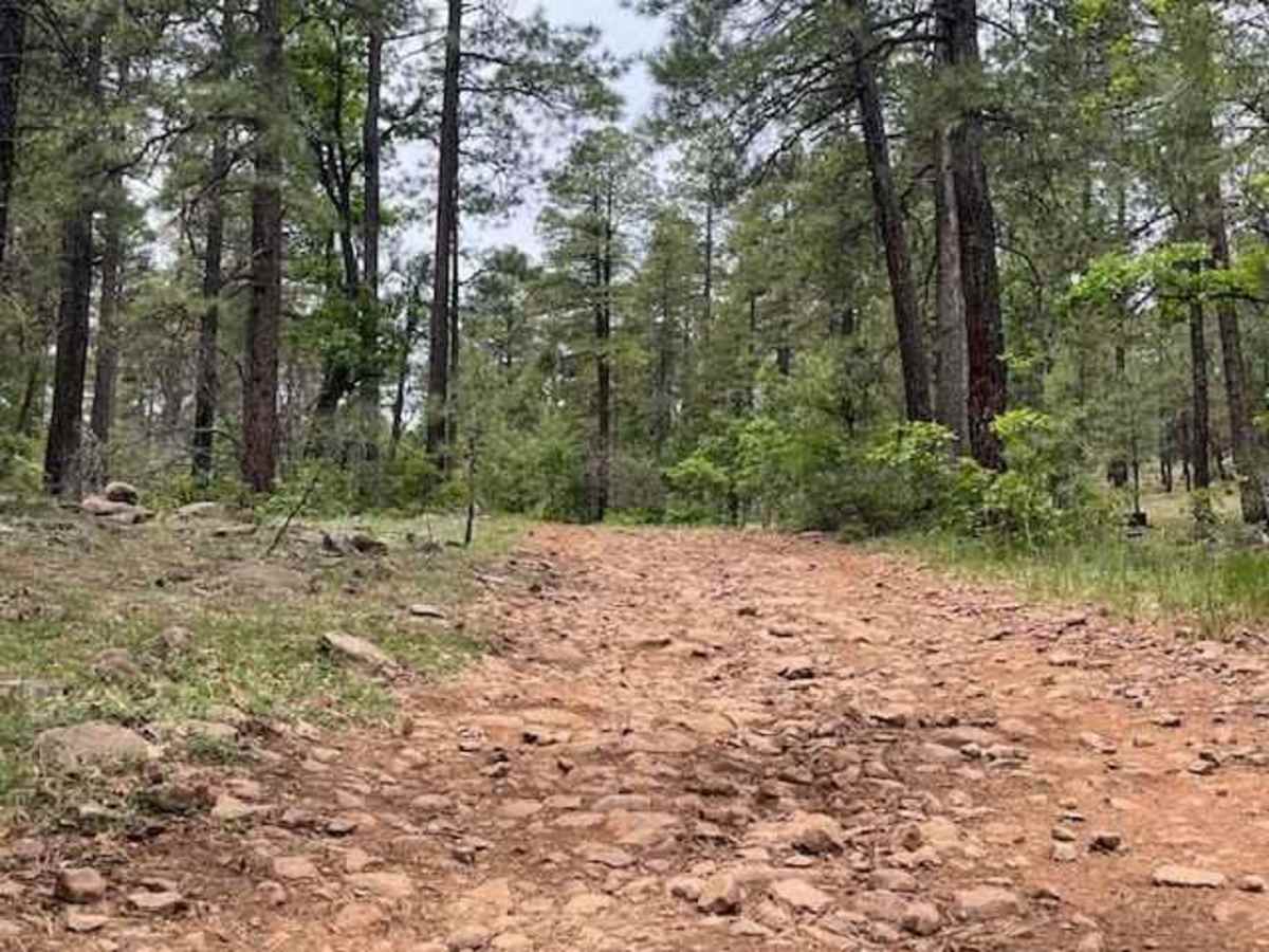 Blind Lake Tank Trail 213B photo 3
