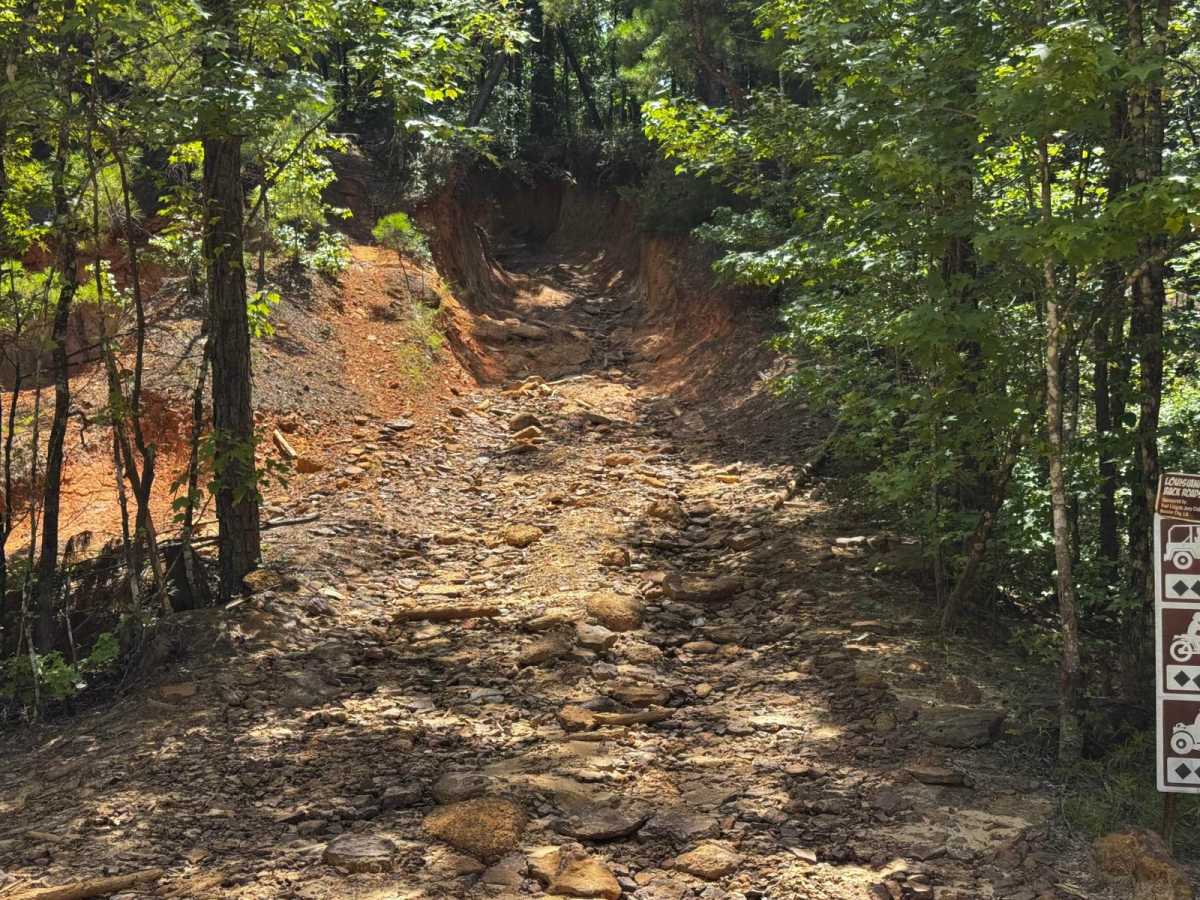 Louisiana Backroads (AKA Angry Jeep)  photo 2