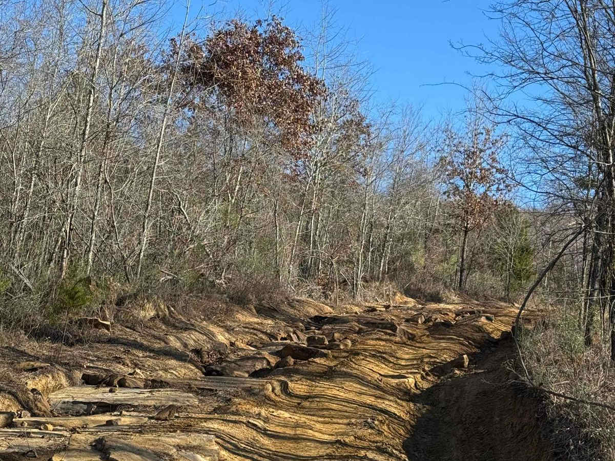 #90 Abbie's Trail photo 4