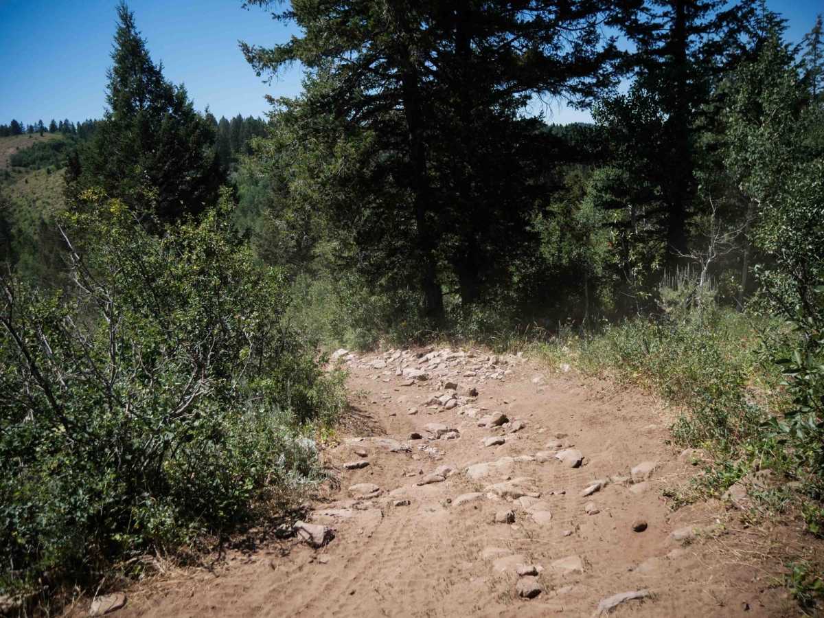 Dry Fork - Meadow Springs #5226 photo 2