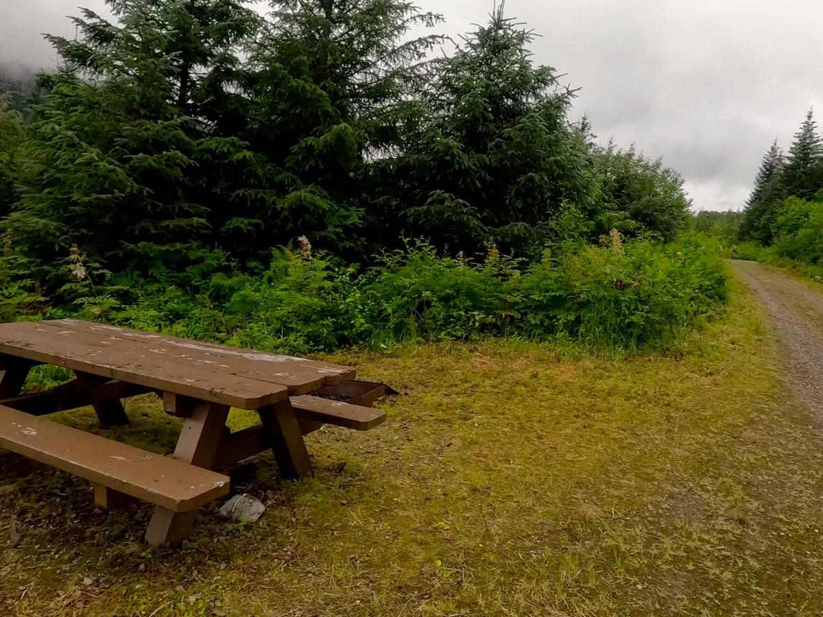 Canyon Creek / La Conte Lookout 6232 photo 5