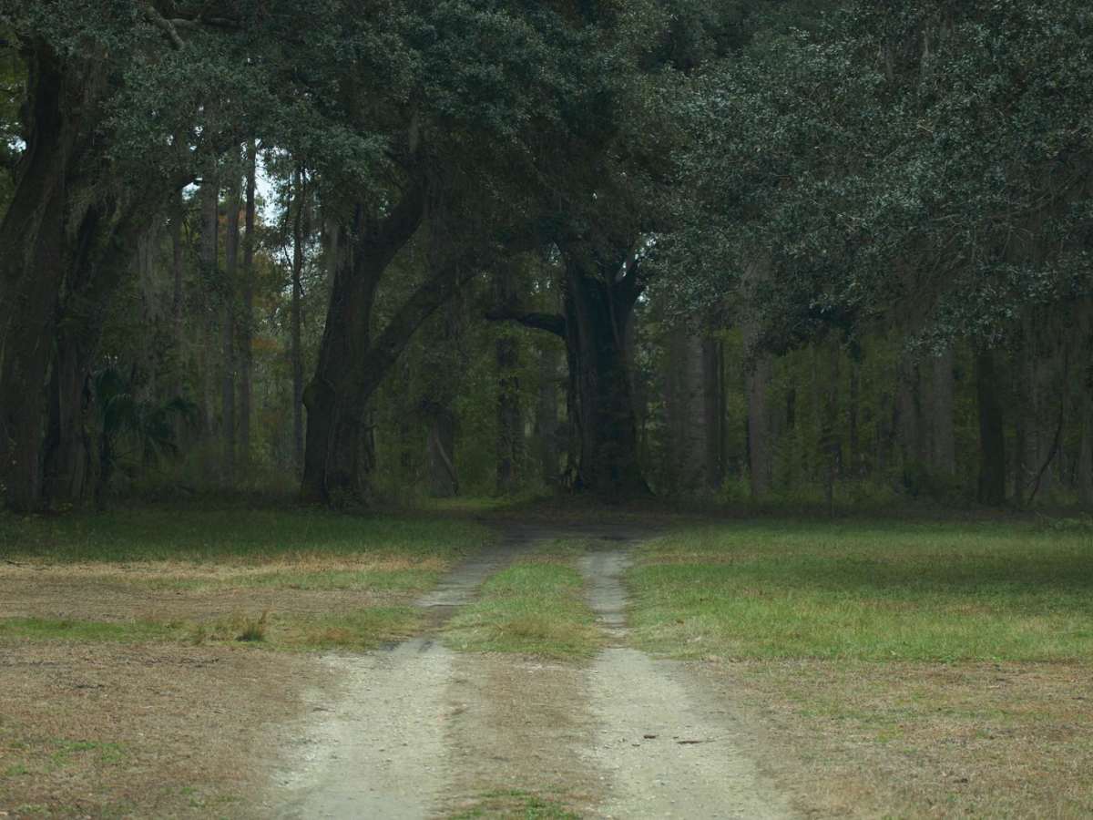 Donnelly WMA PT.6 photo 5