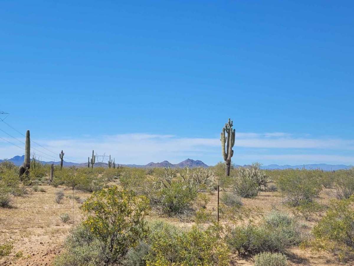 Douglas Ranch Road photo 3