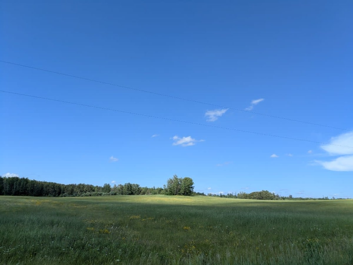 Goodell Road photo 2