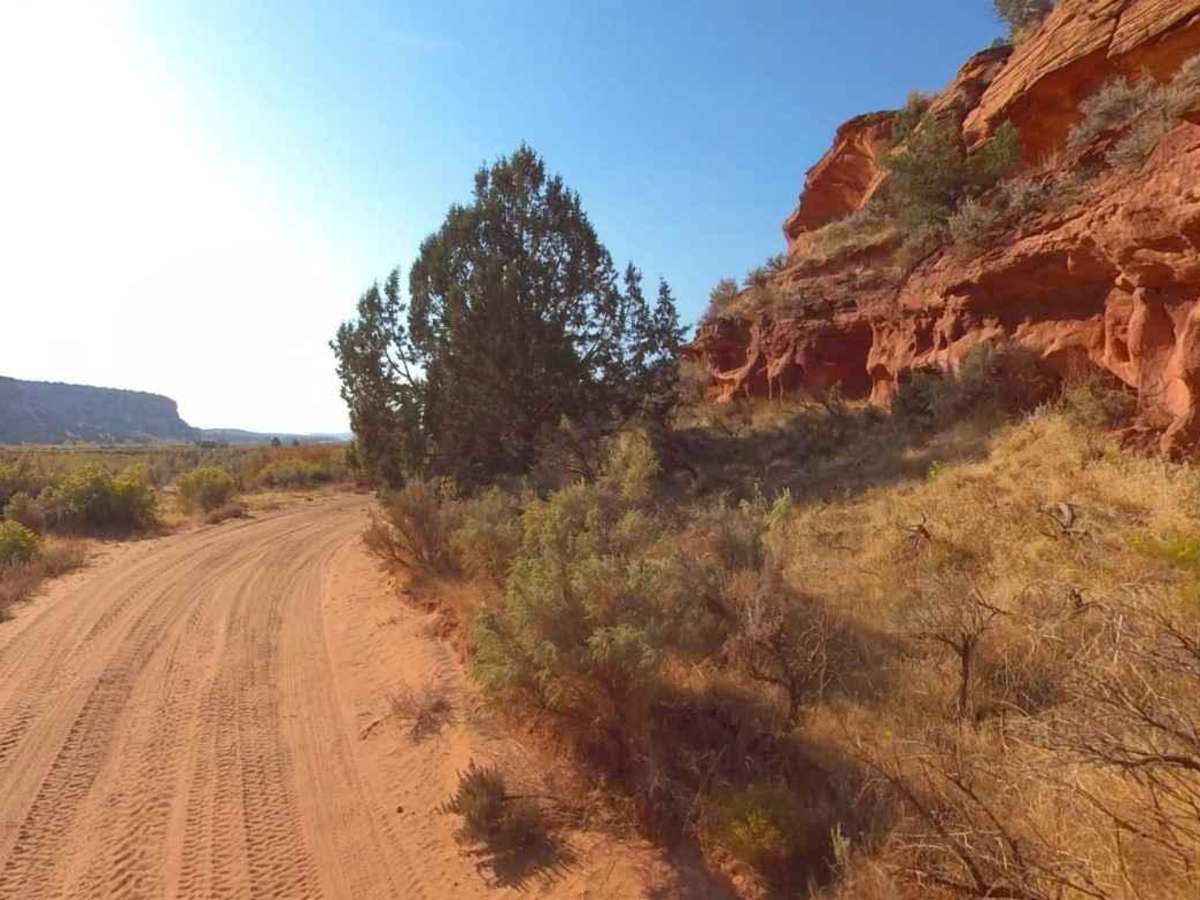 BLM100 photo 5