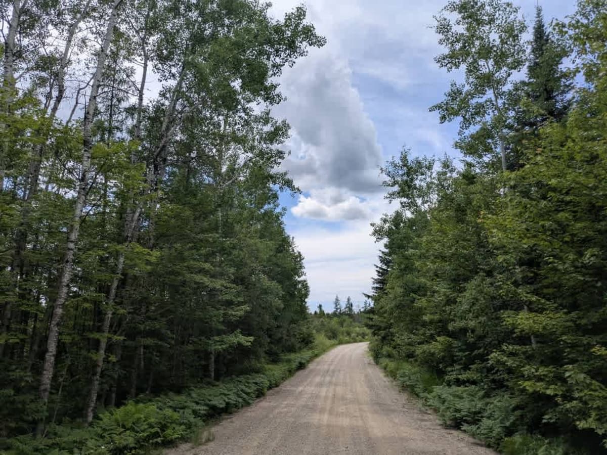 Shannon Lake Road photo 2