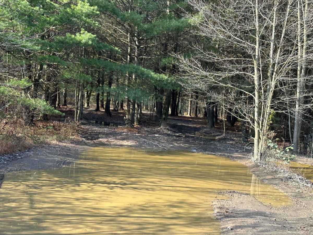 150B trail photo