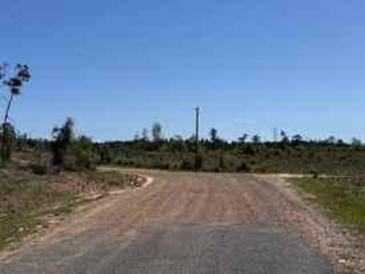 Fox Camp Road photo 6