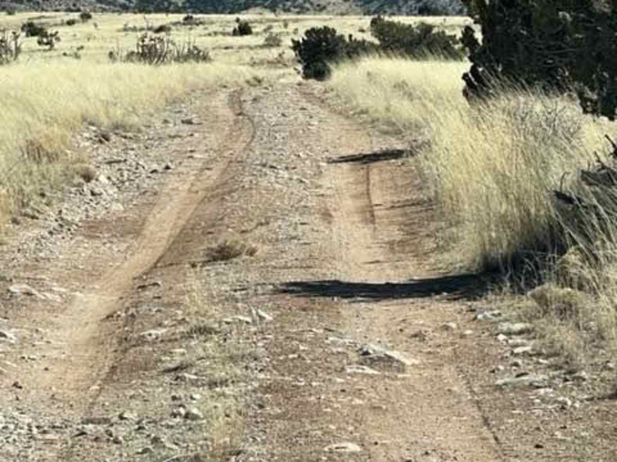 Ladron Wilderness Shortcut photo 3