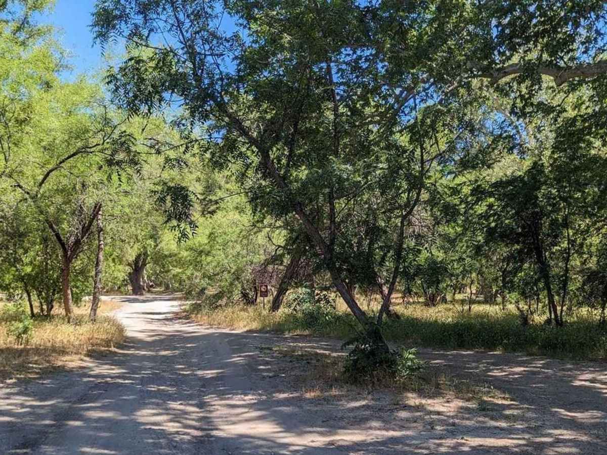 Turkey Creek Springs FR 4408 photo 6