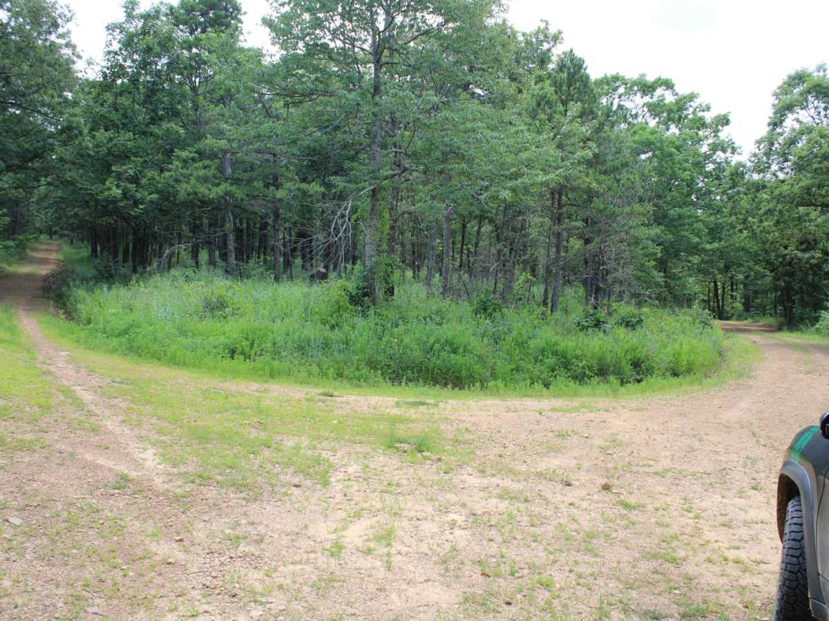 Petit Jean Road To Jack Creek photo 3