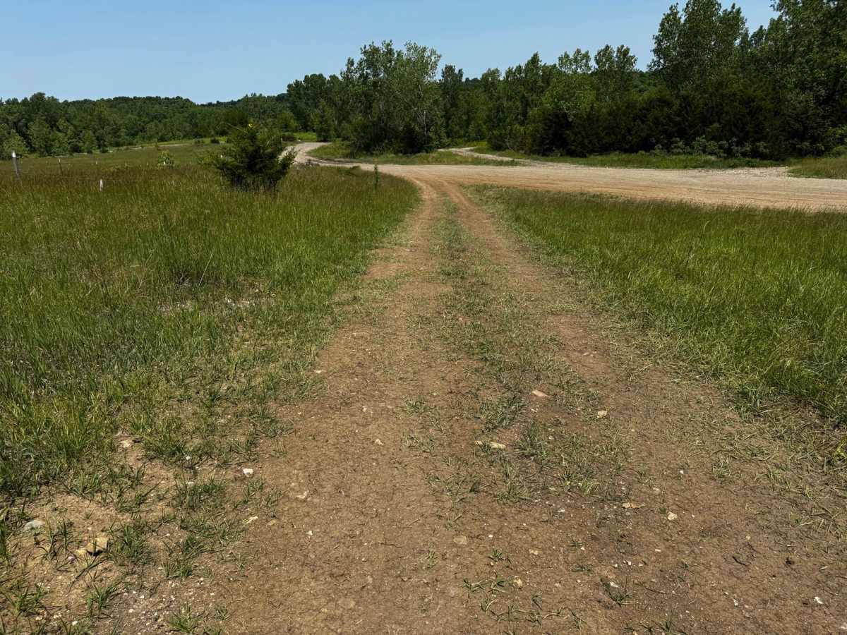 Green 7 Boundary Run photo 3