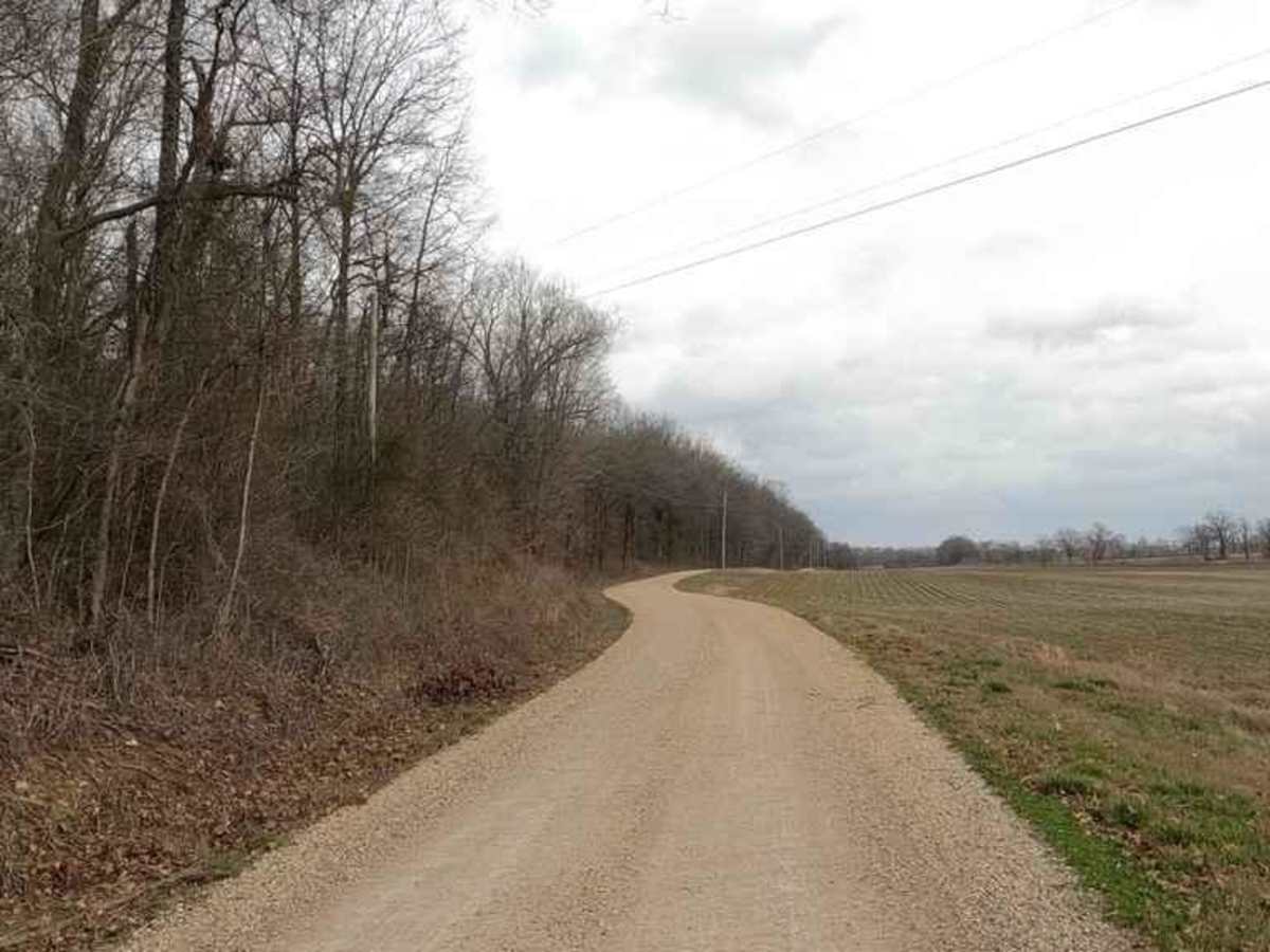 Goose Pond Hills Road photo 2