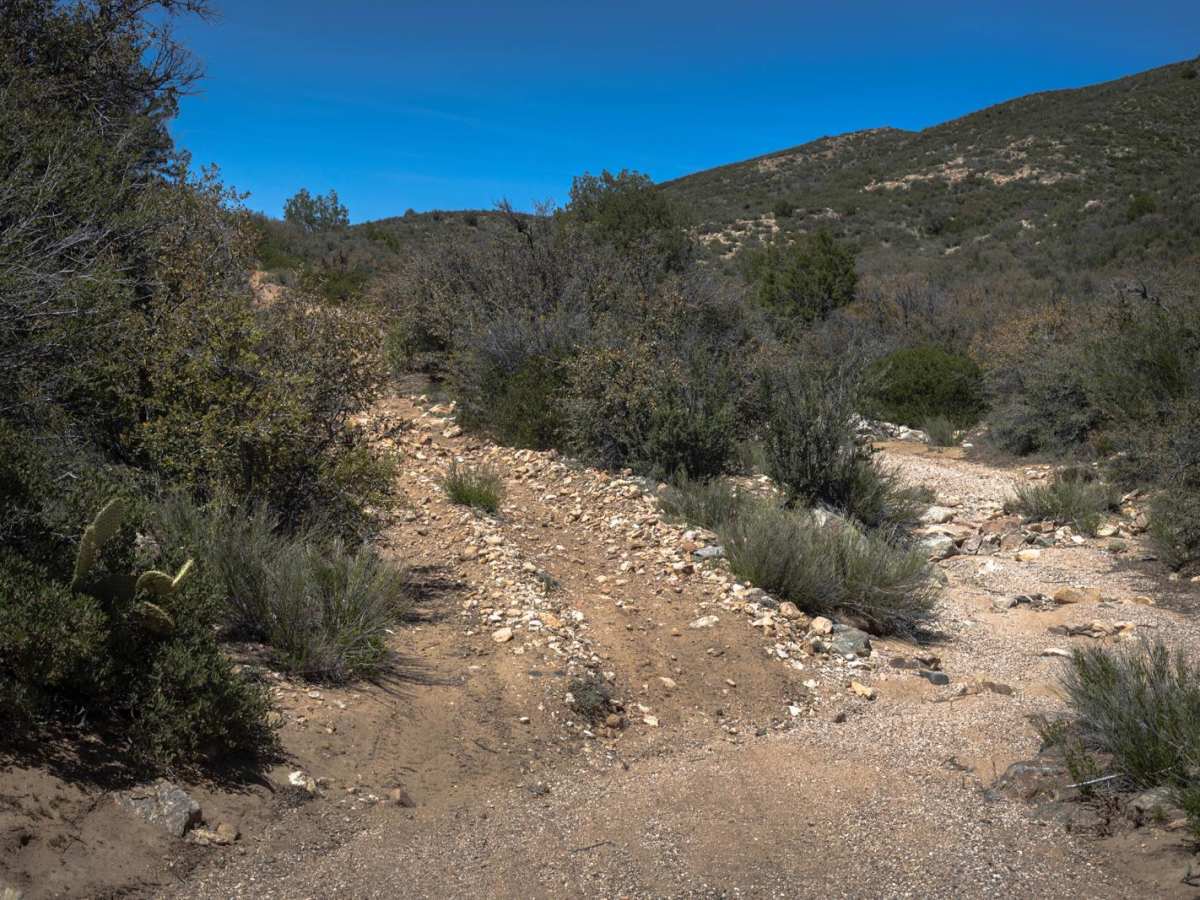 Burnt Wash photo 5