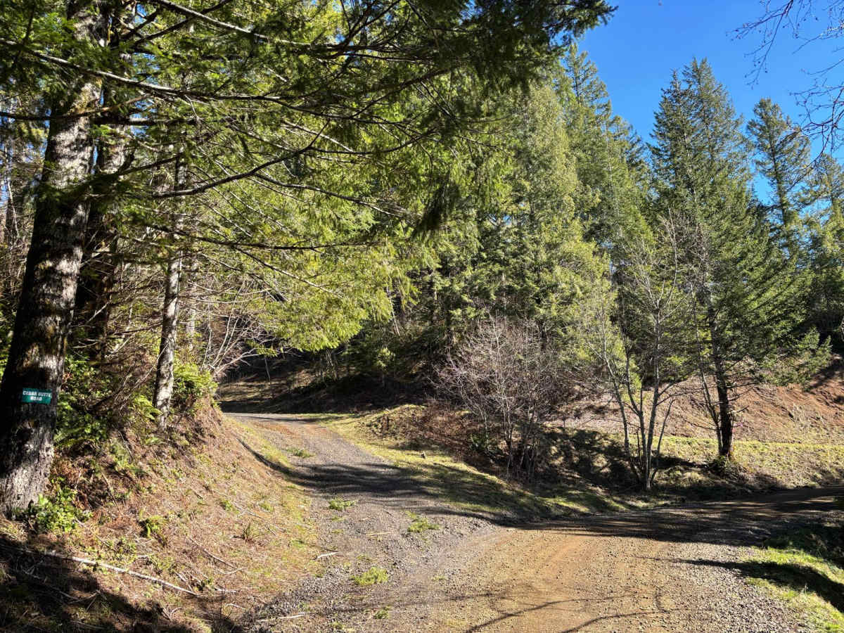 Muesial Creek Road photo 5