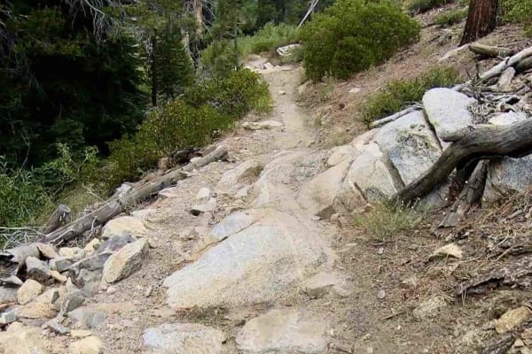 Beach Trail