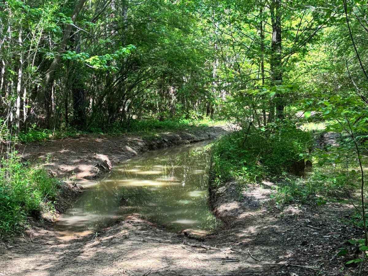 401 Mud photo 5