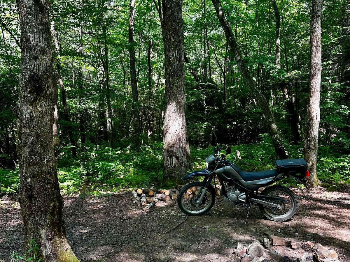 Long Creek Trail photo 2