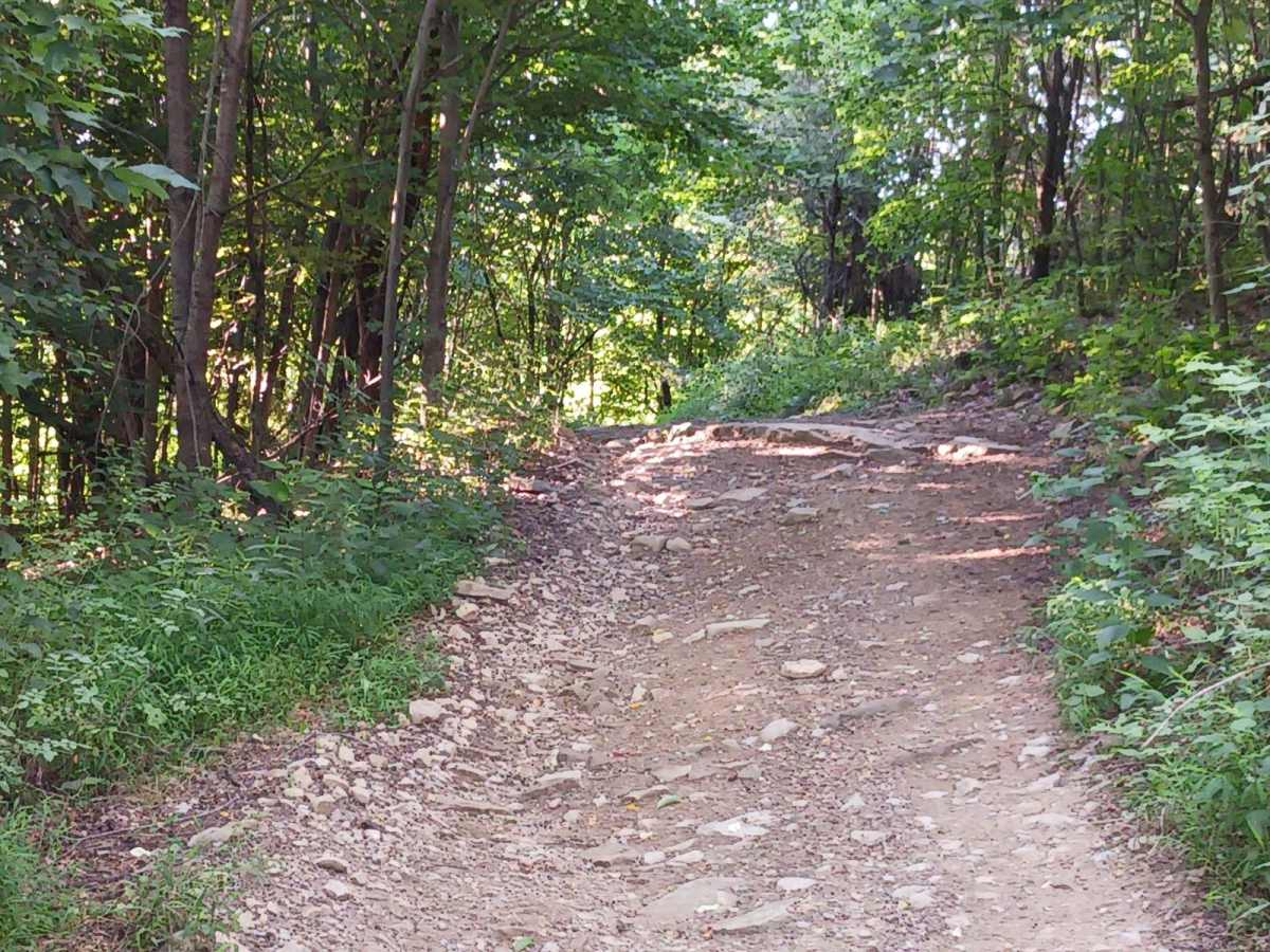 Trail 12C - Rock Run Recreation Area photo 4