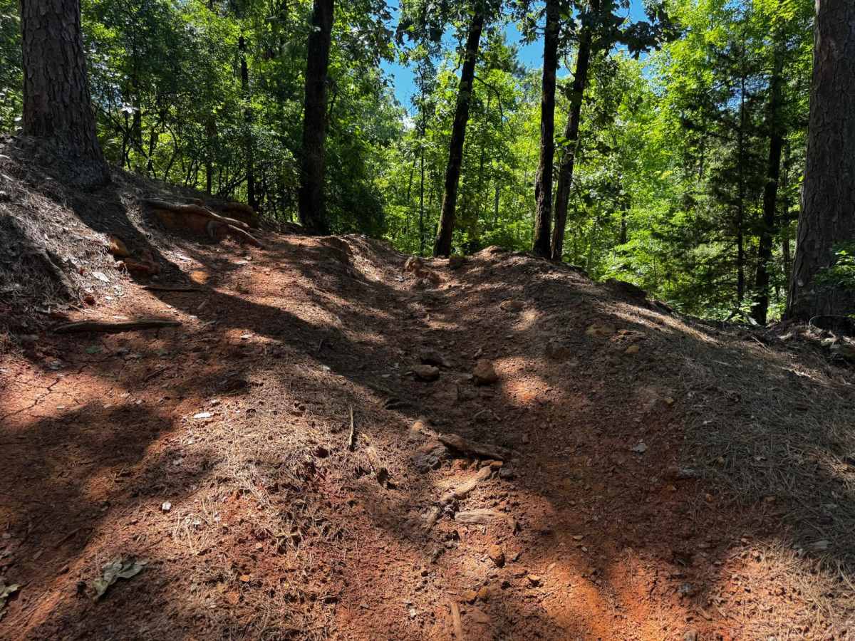 Houston Creek Trail photo 5