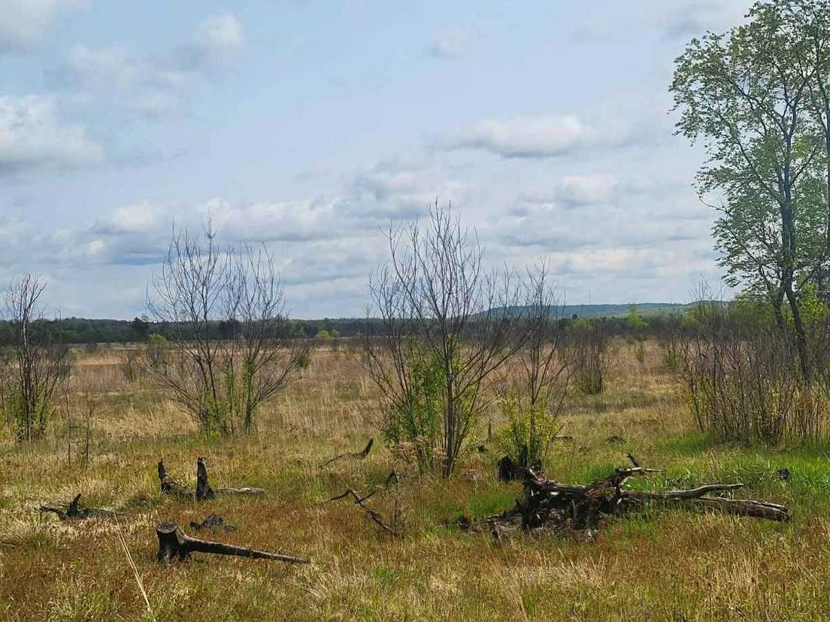 Mio ORV Route - West photo 2