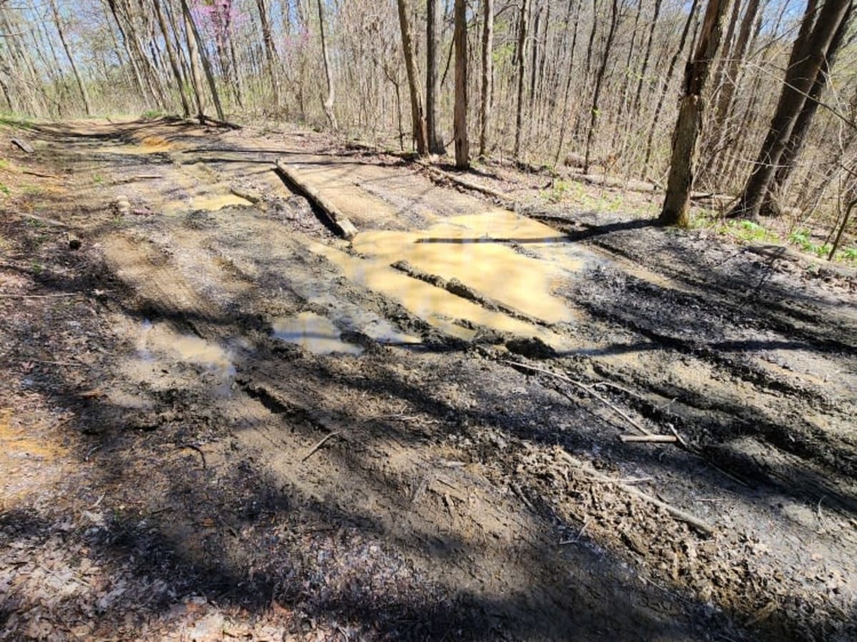 Sunshine Ridge Road photo 3