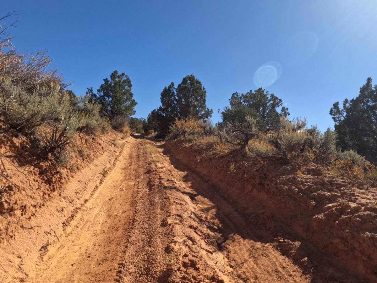 Nephi Pasture Road photo 6