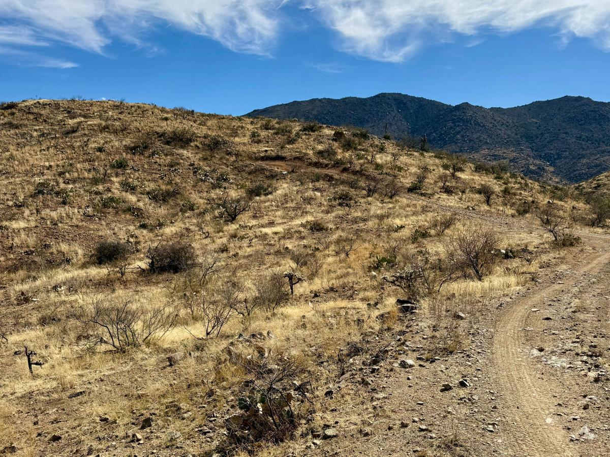 M0775 Black Mountain West Loop trail photo
