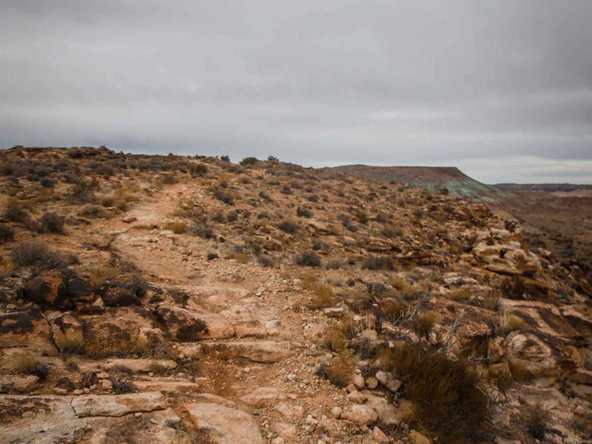 Cedar Mountain photo 4