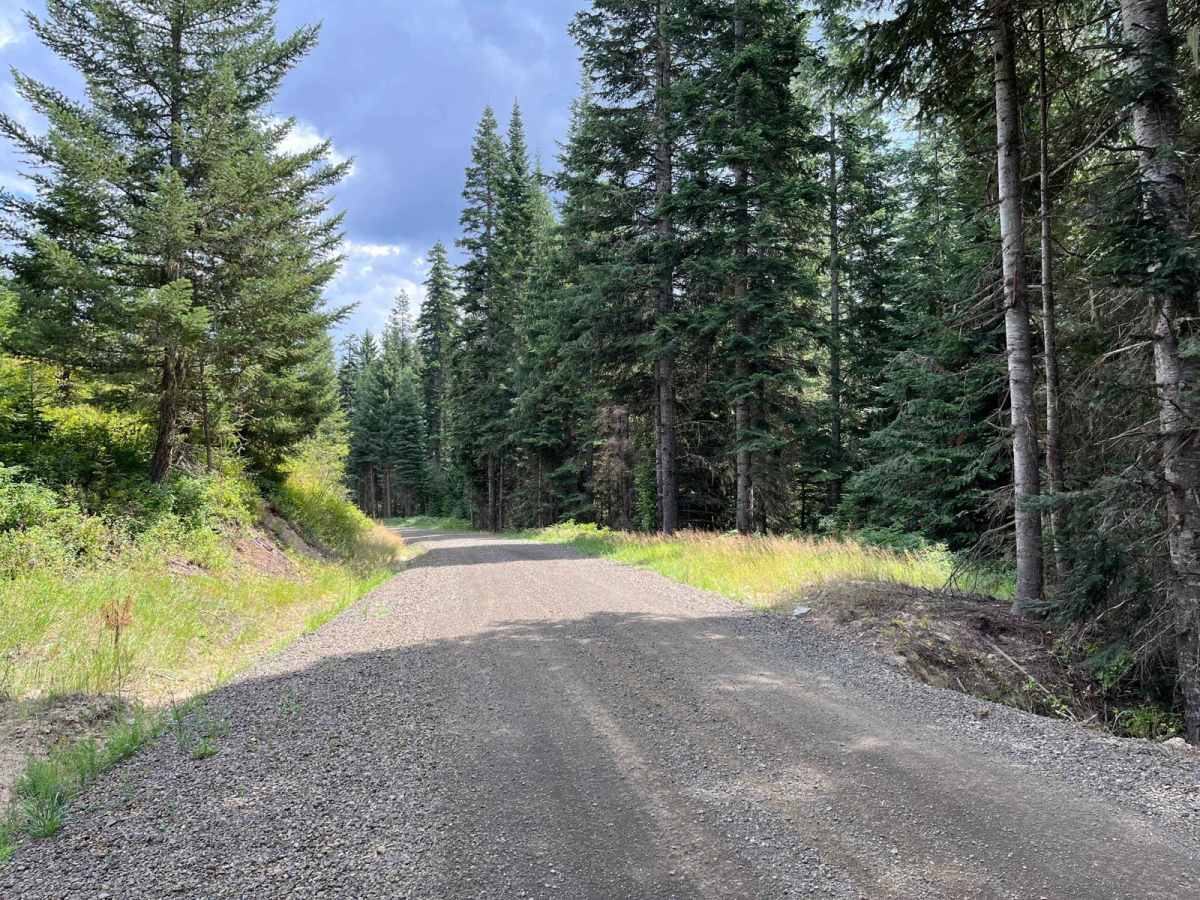 Big Creek Road - FS 370 photo 4