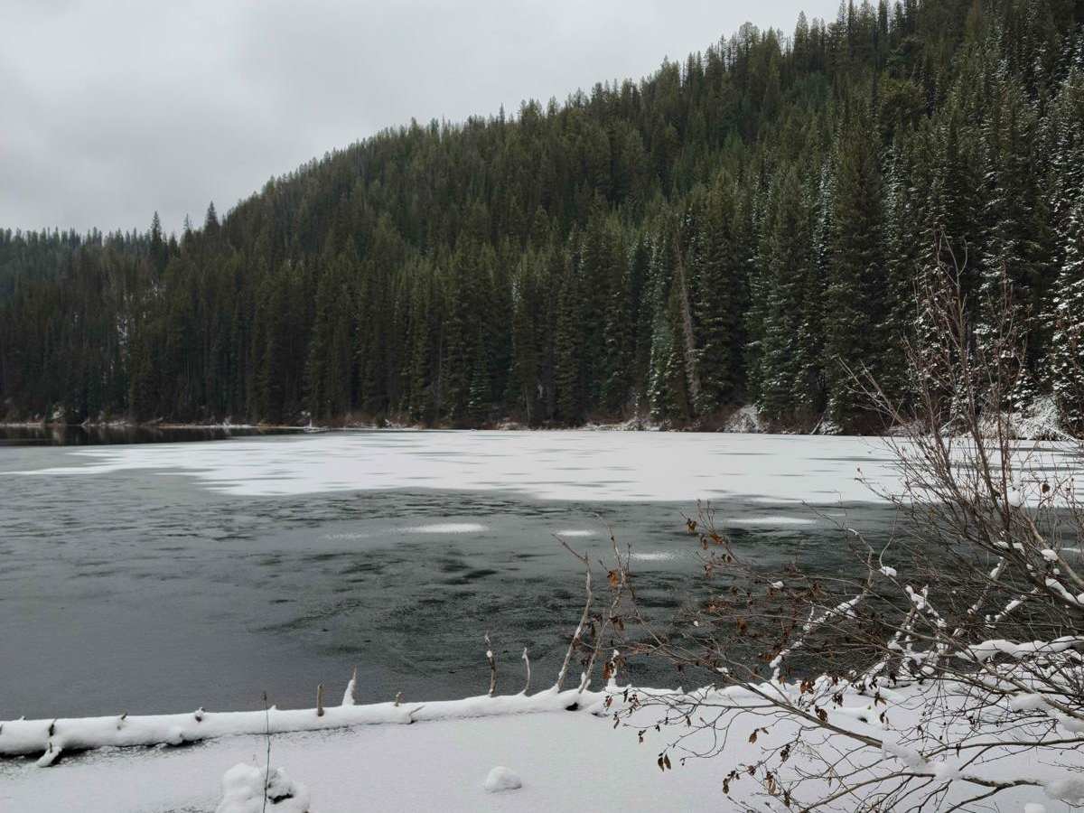Bisson Lake photo 6