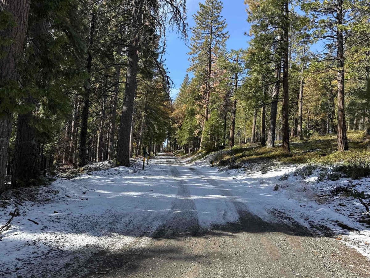 Gold Note trail photo