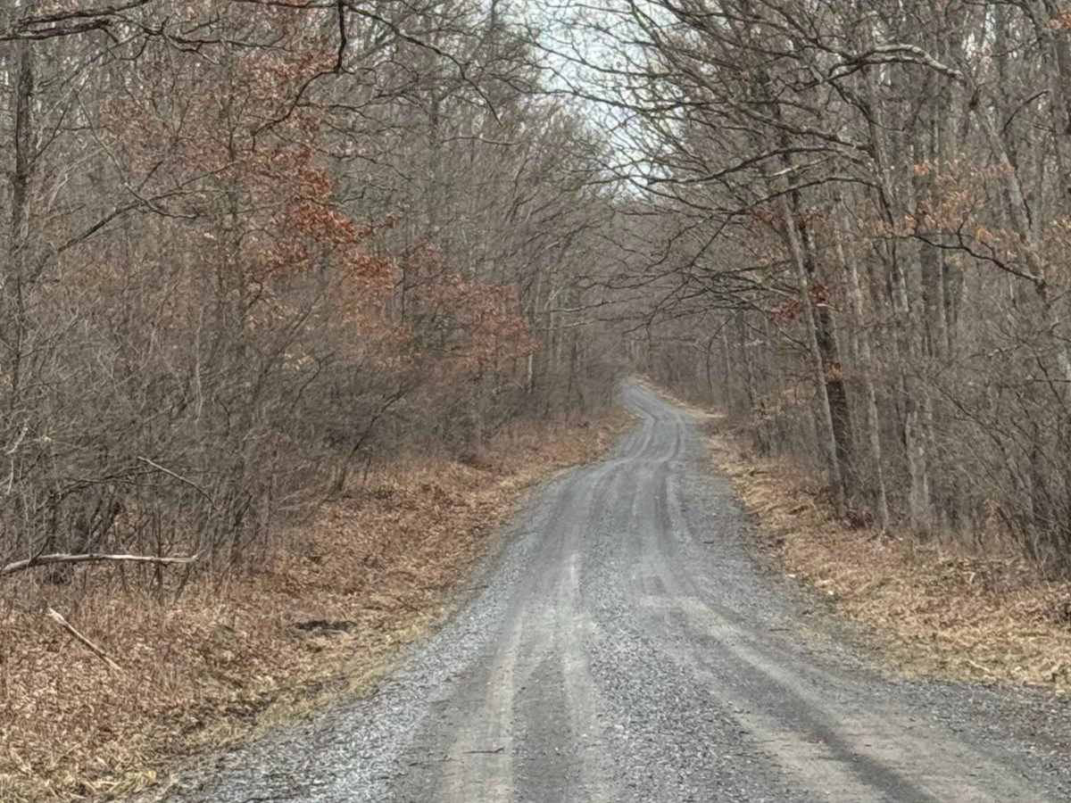 Panther Road photo 3