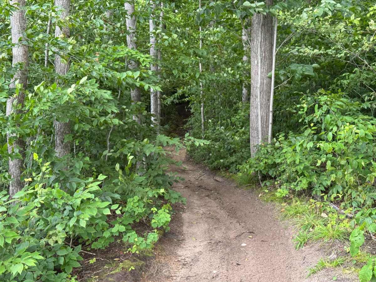 Kalkaska ORV Trail - South photo 5