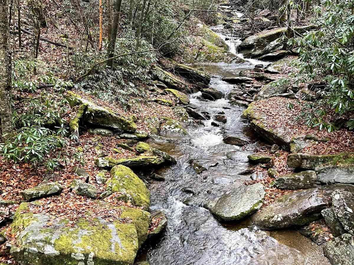 Creek Side Scenic Drive trail photo