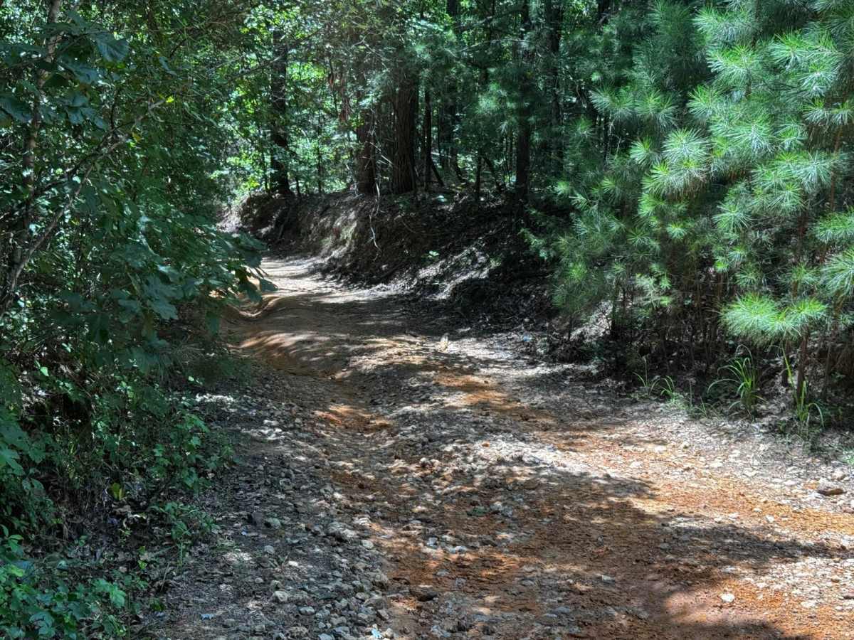 Linda Gail trail photo