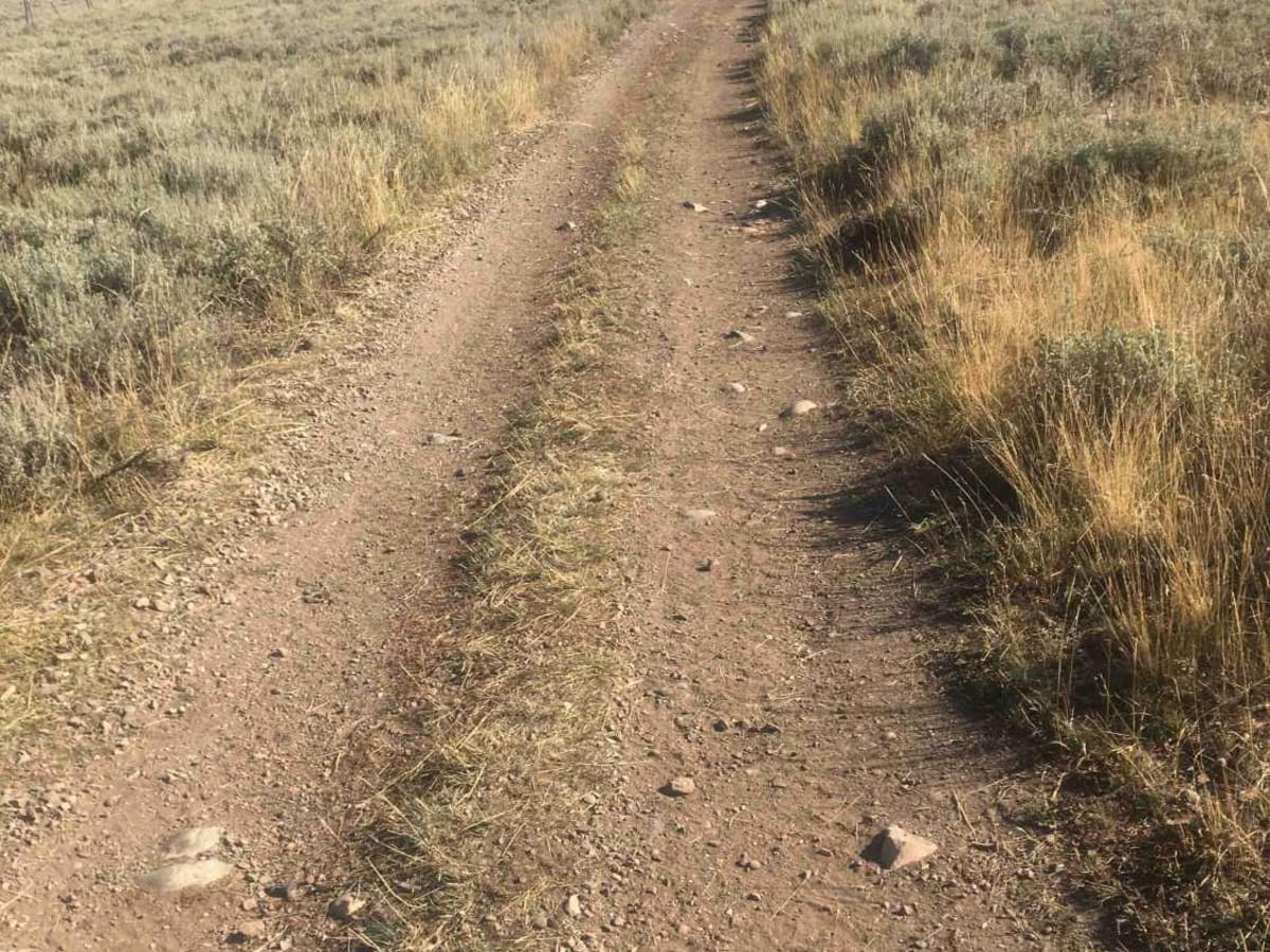 Modoc-Coral Creek Trail trail photo