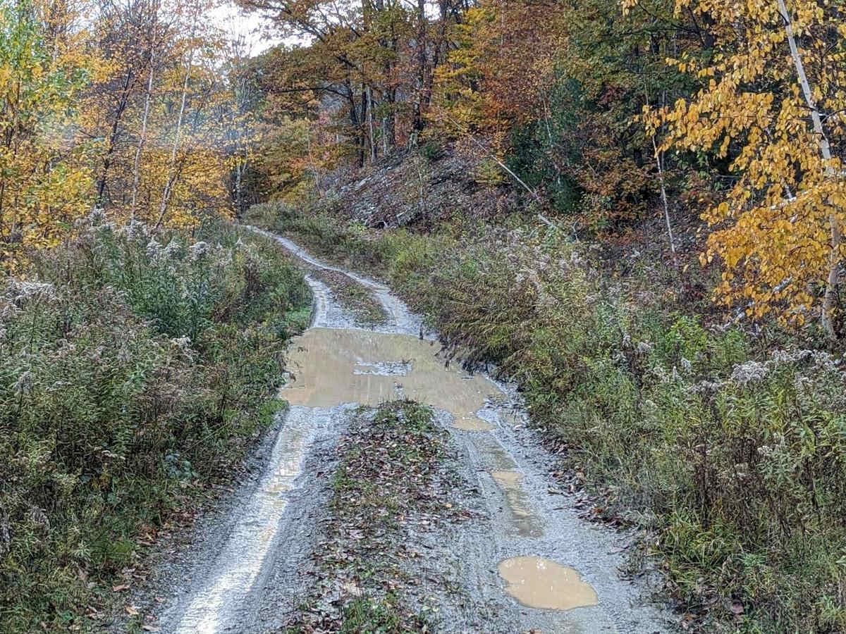 Cowdry Hollow to Comstock Hollow Road photo 5