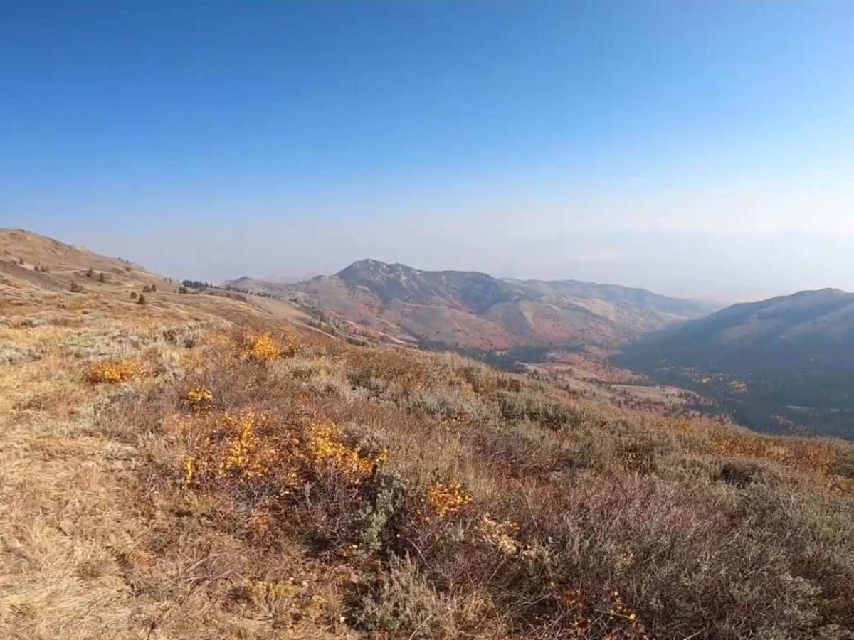 Scout Mountain photo 2