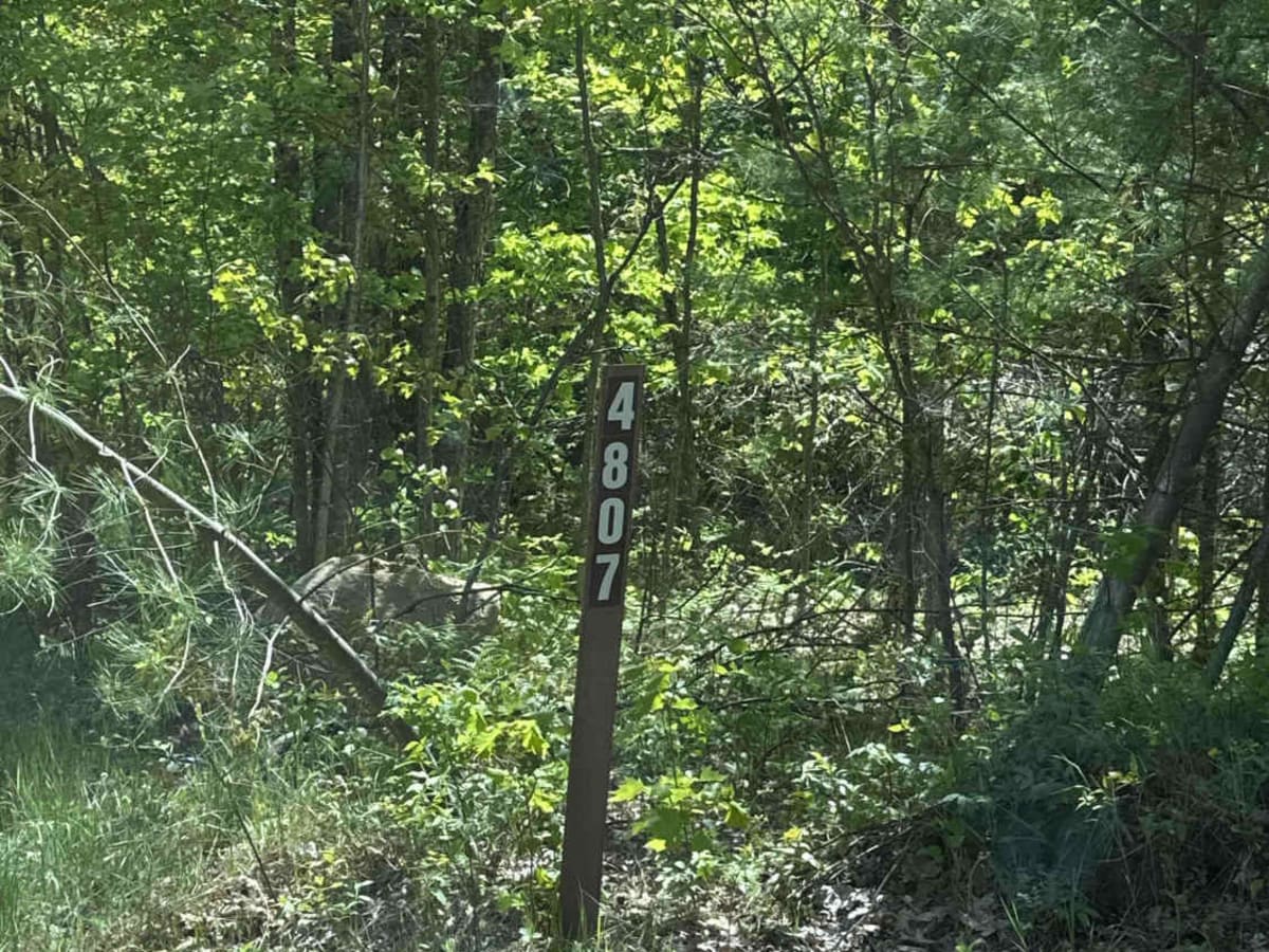 FS 4807 trail photo