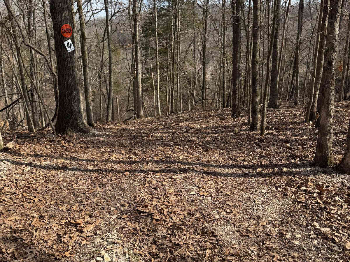 Red 433 trail photo