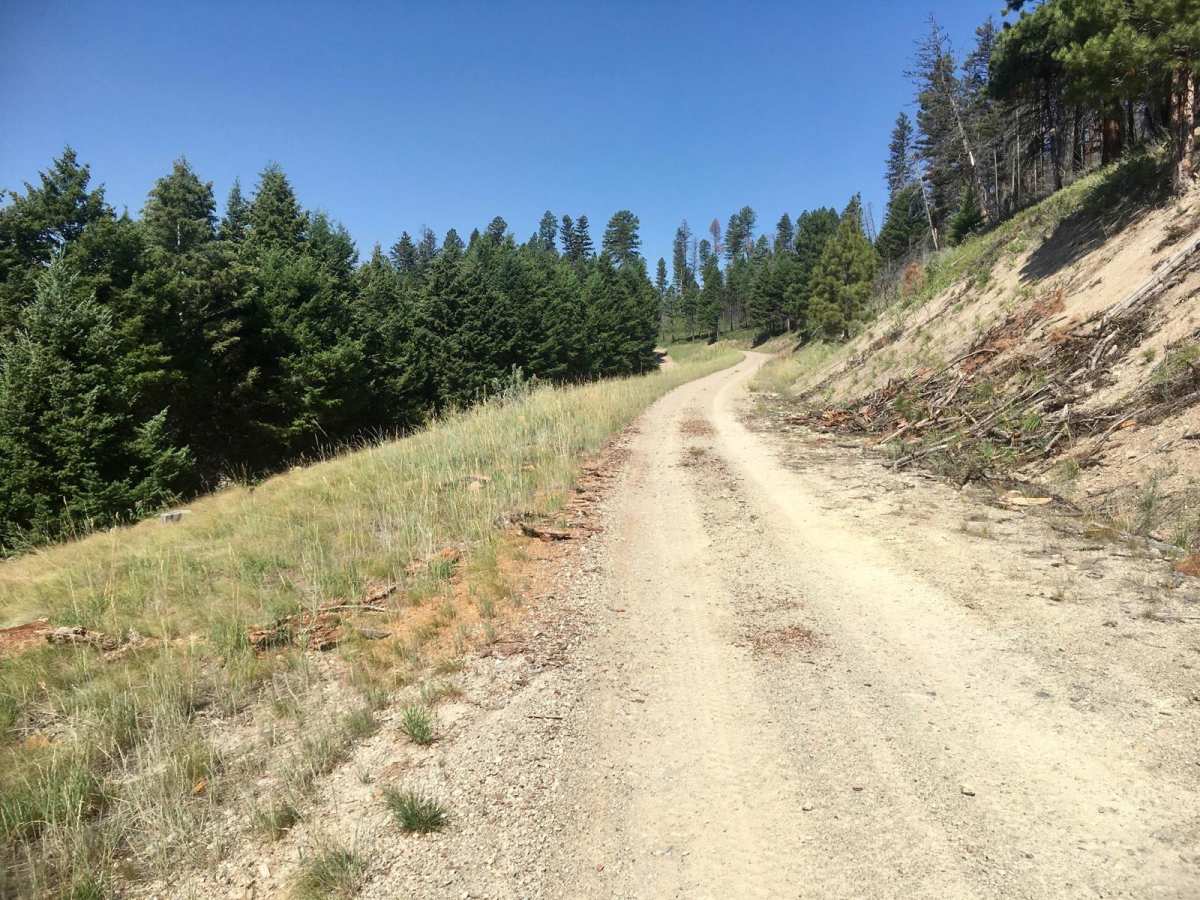 Park Creek Road - FS 607 photo 3