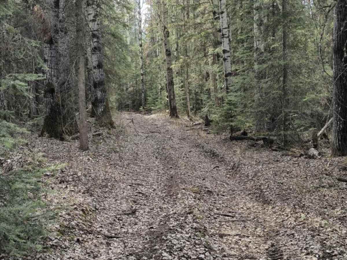 Gettin' Skinny trail photo