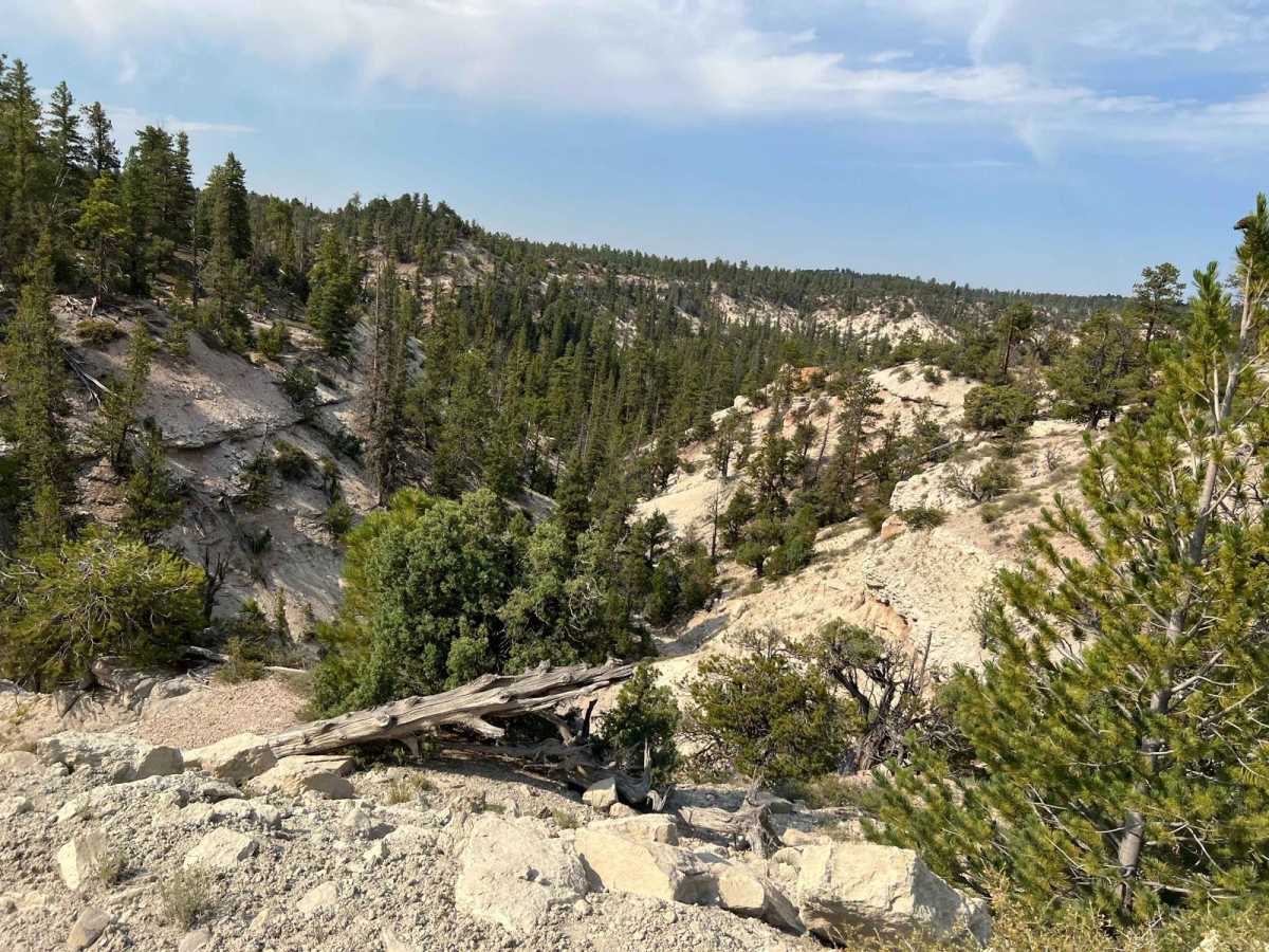 Freemont ATV Trail South (BLM 33002) photo 4