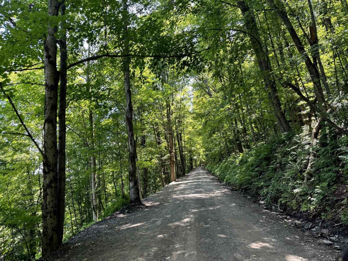 Howard Hill Road trail photo