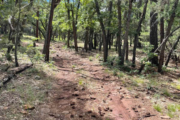 Scrub Oak Bypass