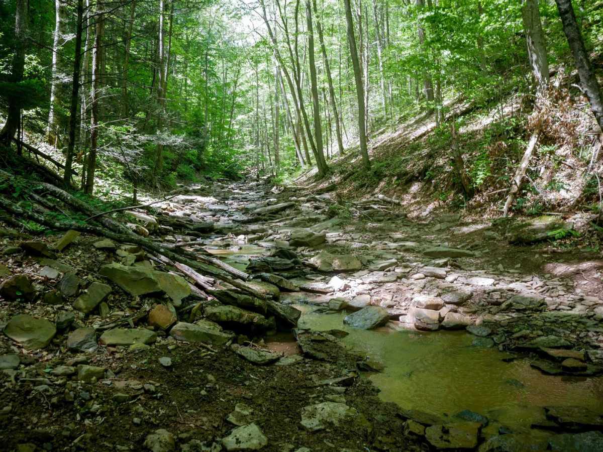 Trail 29 trail photo