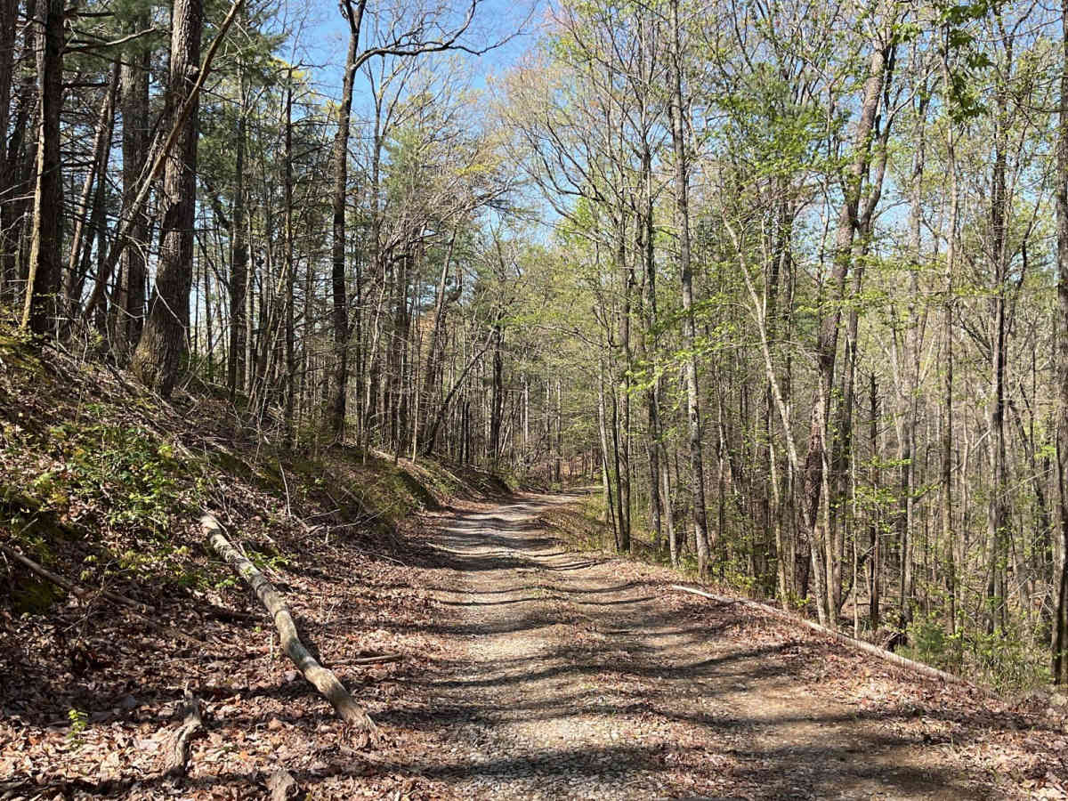 Mill Creek Overlook - FS-630A photo 2
